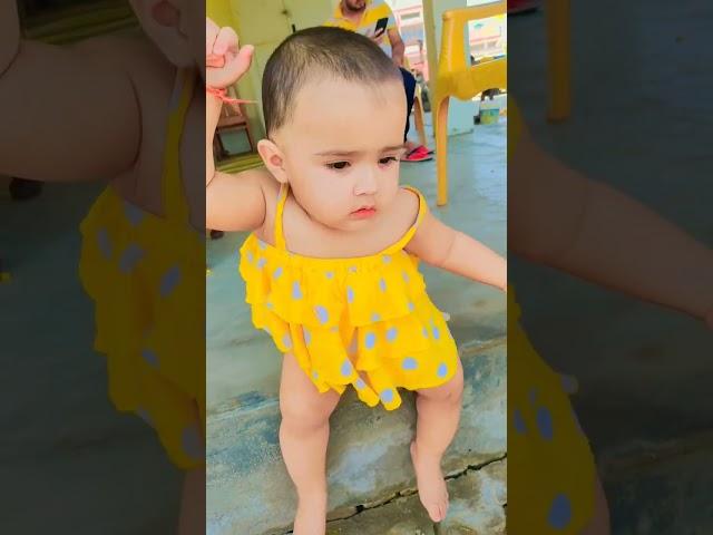 chidiya Rani badi sayani #shorts #shortsfeed