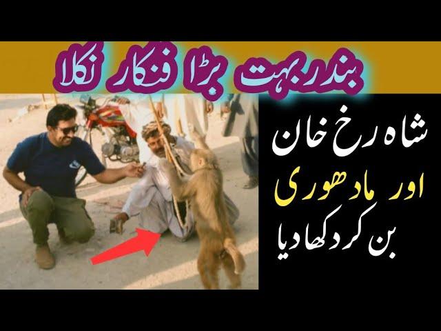 Monkey turned out to be a great artist|Balochistan|Pakistan|Shaukat jam vlogs