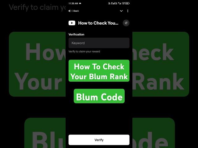 How to check your blum rank|blum code|blum tadk|#blumtoken #blum #blumcode #blumairdrop #blumtask
