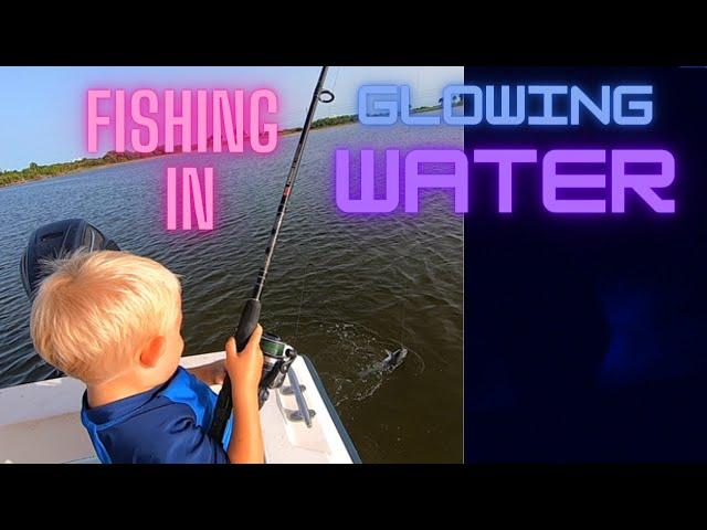 Bioluminescence | GLOWING WATER | Indian River Lagoon | Overnight Boat Trip in Catfish Corner