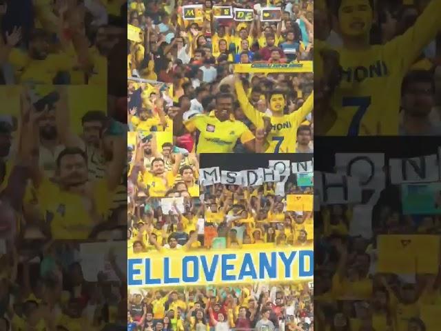 CSK fan club Ms done official video editing #trending #viral #viralshort #viralvideo #youtubeshort