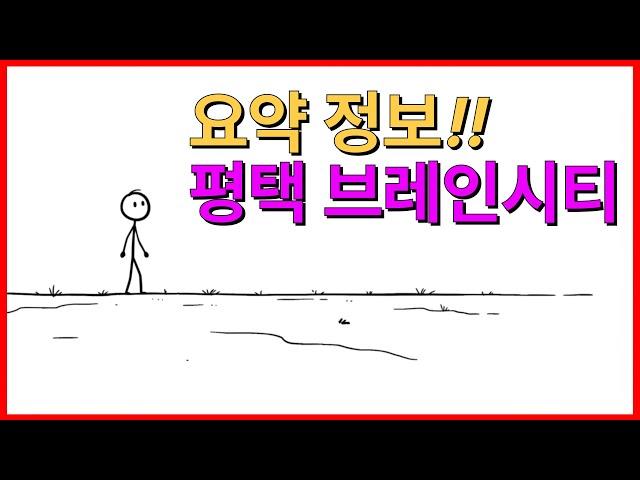 미분양 관리지역 평택, 브레인시티 요약 정보