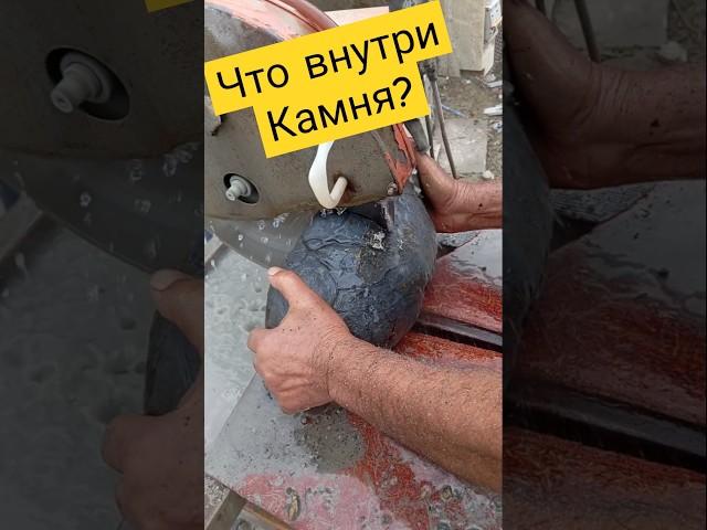 Шедевр внутри черепашьего камня! #золото #пирит #gold #stone #камнемания #минералы #камниобереги