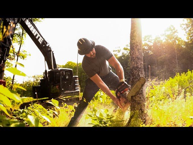 Logging with my $500k Custom Black CAT 325 Excavator