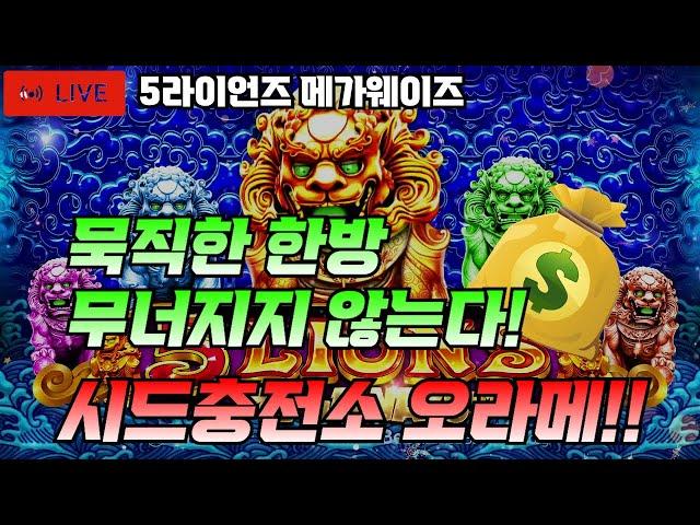 [슬롯][하이라이트] 5라이언즈 메가웨이즈 시드충전소 오라메 슬롯 브라더 [프라그마틱][슬롯머신][강원랜드][온라인슬롯]