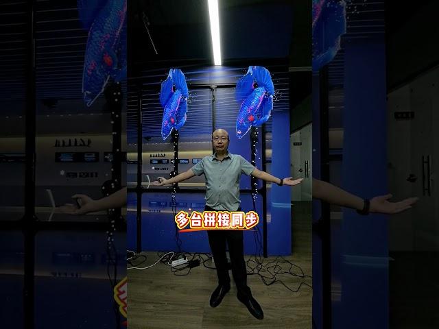 What Can a 3D Holographic Fan Do? Prepare to Be Amazed! #3D #ledfan #leddisplay #holographic