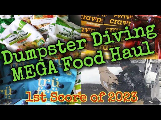 Epic Dumpster Dive, Massive Food Haul! Frozen Food for Days! Saving Food From The Landfill