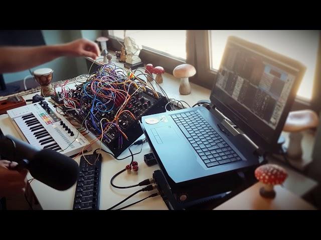 Selina International Music Summit Live Performance