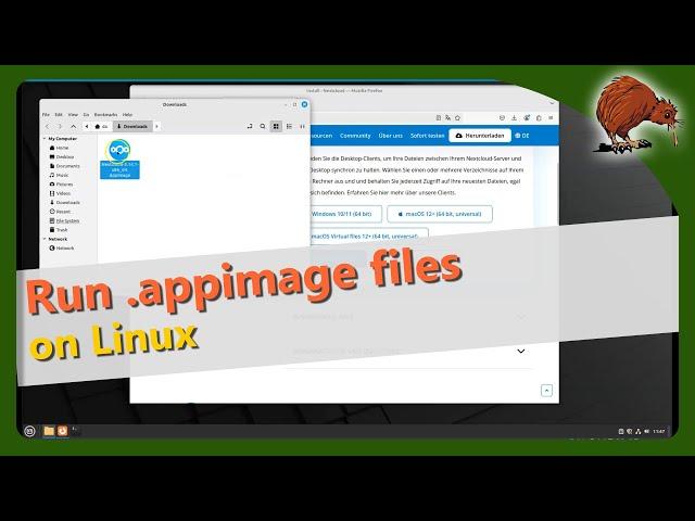 Run AppImage in Linux Mint / Ubuntu