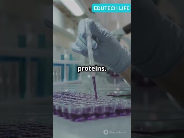 Protein Purification 101 Quick Guide!