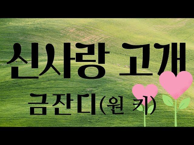 신사랑고개 - 금잔디 (원키)