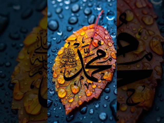 Jab Bhi Ek Hi Nabi aur ek hiKuranhai#viral #shot #youtube #shot#youtube#viral #subscribe please