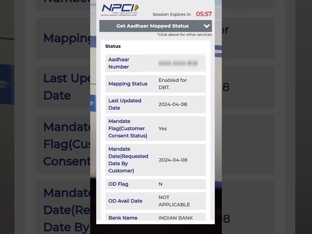 dbt link account check | npci Link status check 2024