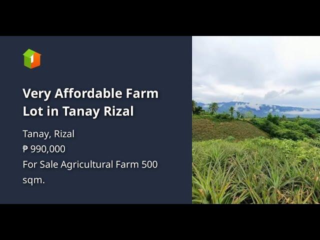 Very Affordable Farm Lot in Tanay Rizal