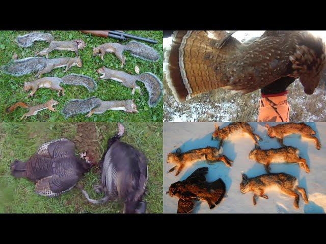 Epic Small Game Hunting - 70+ Kill Shots - Squirrels, Rabbits, Grouse, Pheasant, Turkey, and More