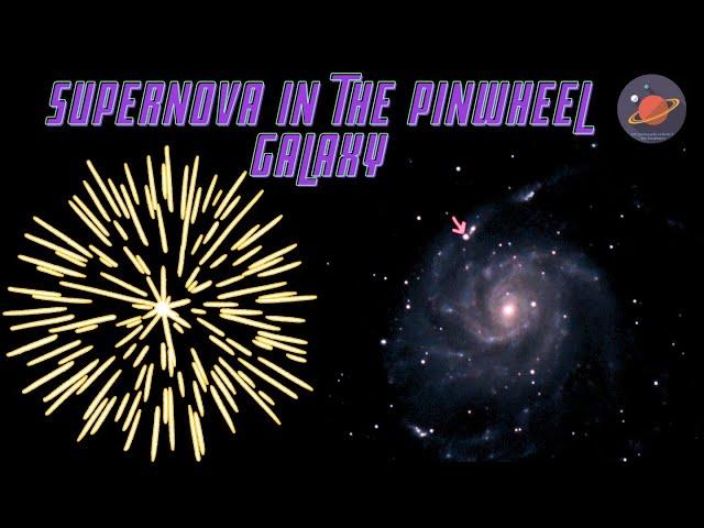 Supernova in the Pinwheel Galaxy