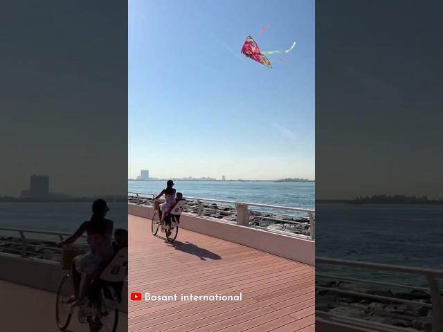 kite flying video Dubai UAE : Basant international