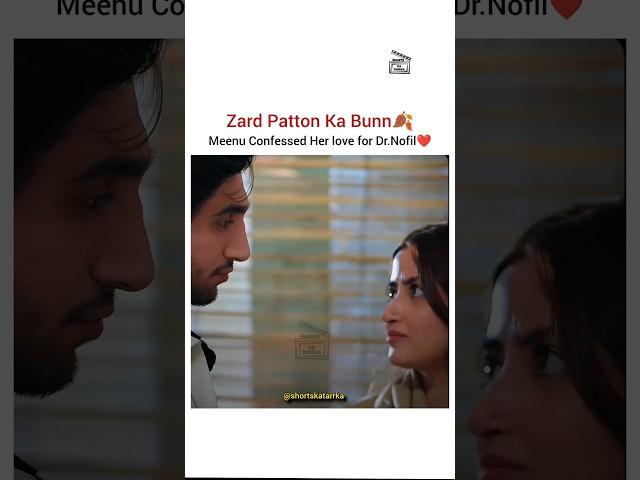 This scene Zard patton ka bunn edit ft sajal aly and hamza sohail #shortsfeed #love