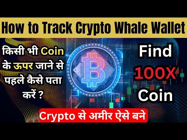 How to Track Crypto Whale Wallet Easily? Crypto WHALES ke Trades TRACK kaise kare 2024