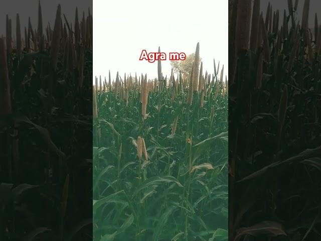 Bakt ka ye parinda ruka he kanha #shortvideo #love #song vmk ayurvedic blog