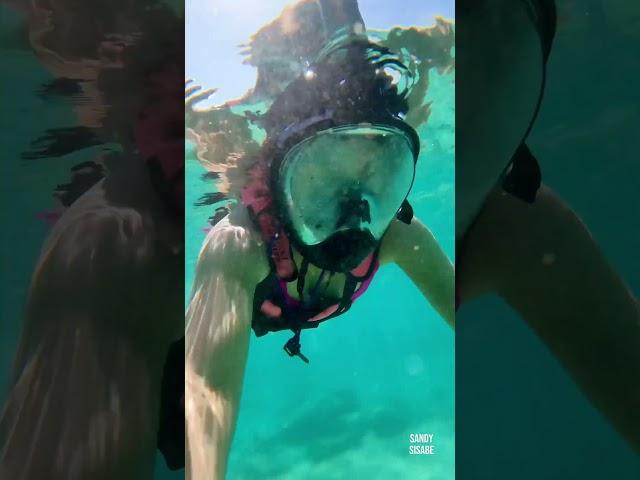 ¿Cuánto cuesta visitar Xcaret? 🫶 Precios #xcaret #mexico #cancun #rivieramaya