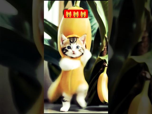 https://youtube.com/shorts/dAKBqZrkuhc?si=ndD92TFSUuPqU#shotsfeed 