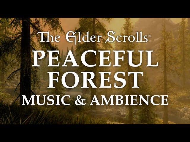 The Elder Scrolls Music & Ambience | Peaceful Forest, 5 Beautiful Scenes with Calm Music Mix, 6 Hrs