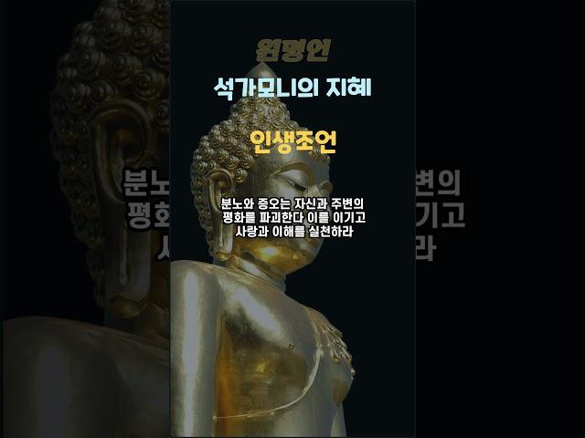 명언모음ㅣ 석가모니의 지혜 "인생 조언"ㅣ명언 읽어주기 명언레전드 오디오북