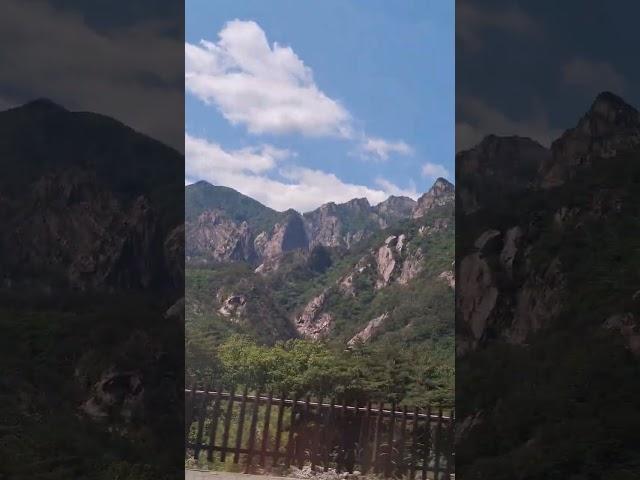 꿈,#기쁨두배로