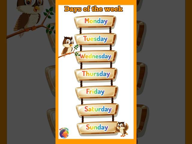 Days of the week song | Sunday Monday song English |learn weekdays name