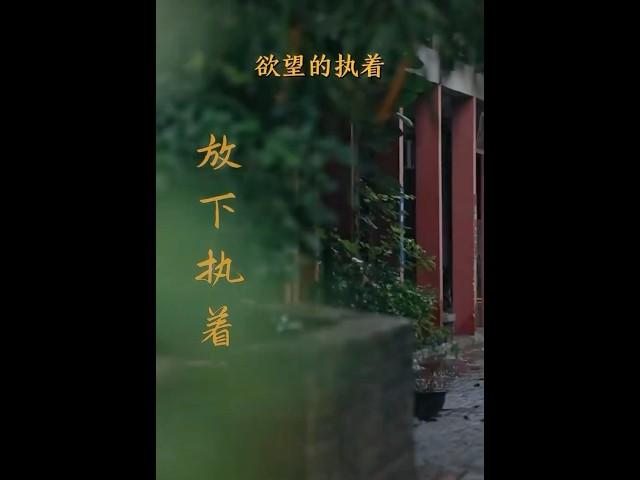 人生短暫，不要讓執念束縛了我們的腳步。放下執著，心向陽光，才能真正領略到生活的真諦，才能活出屬於自己的精彩人生 #執著 #放下執著 #放下 #佛道禪心 #佛禪 #大陸 #早安 #推薦 #熱門