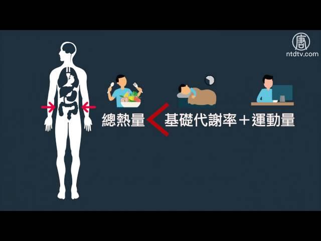 '基礎代謝率'是什麼？│醫學小教室│體重控制│減肥│熱量│健康1+1