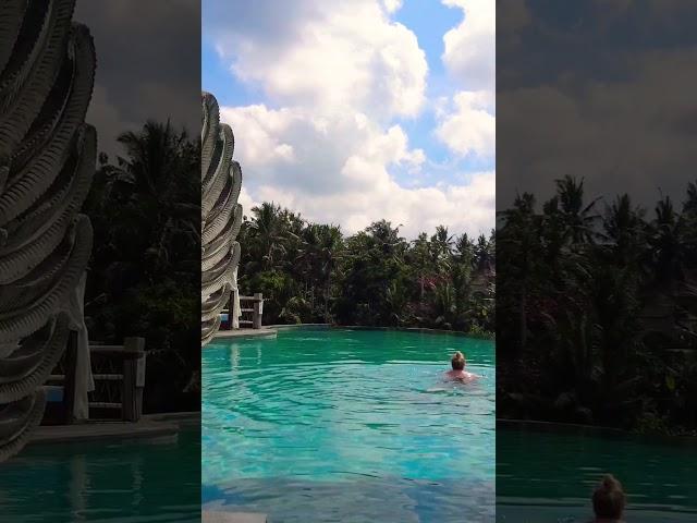 Beautiful Bali infinity pool! Tlaga Singha, pool with jungle view! #bali #travel #mustvisitbali