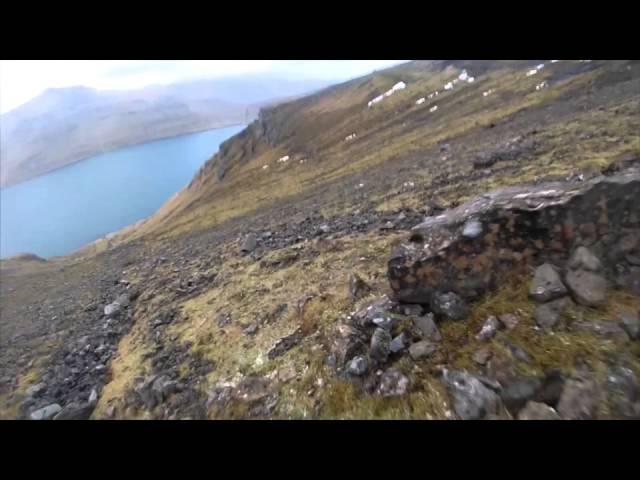 Hare hunting at the faroe islands - harejagt på færøerne