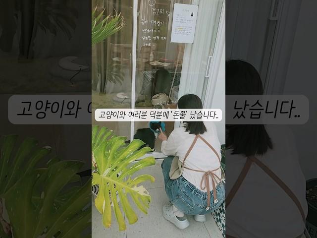 폐업 직전에서 대박카페로 ‍️댓글확인