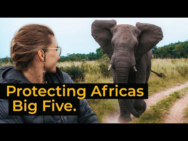 Wildlife conservation at Phinda, South Africa | Jack Wolfskin