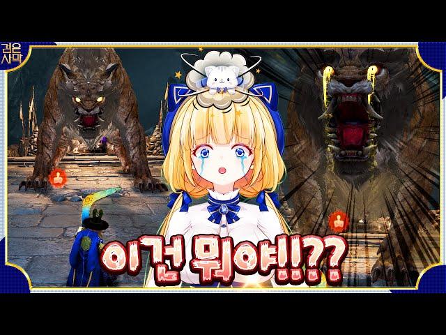 [BDO/검은사막] 이 구역 고양이는 나다!!냥. 검은사당 스트리머 대전