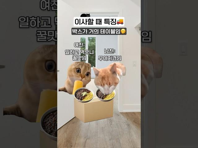 커플이 이사할 때 특징ㅋㅋ