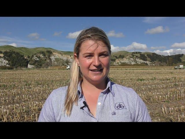 Agricultural science careers - A day in the work life of an agricultural field representative