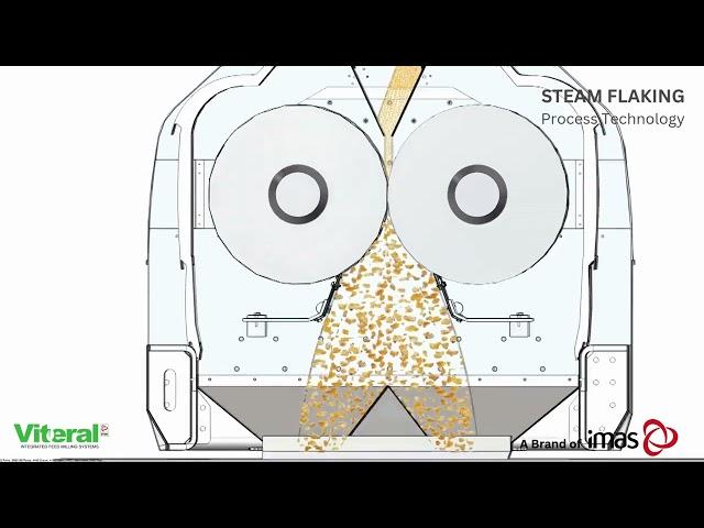 Steam Flake Technology by Viteral