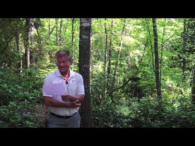 Lake Keowee Real Estate Video Update June 2025 Mike Matt Roach Top Guns