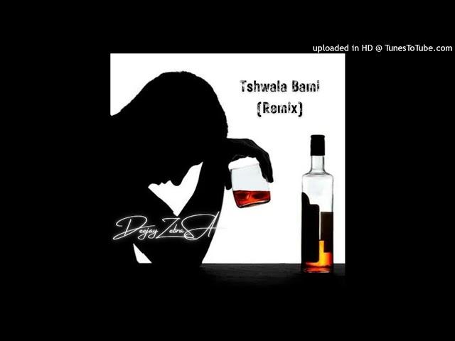 Deejay Zebra SA - Tshwala Bam (Remix)