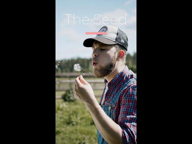 The Seed poem by icon303 #shorts