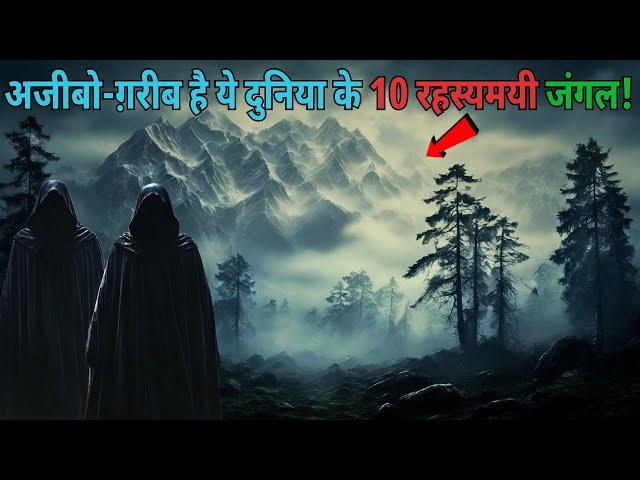 Yeh Hai Duniya ke 10 Rahasyamayi Jungles...most mysterious forests |top 10 haunted..Rahasyaraasta