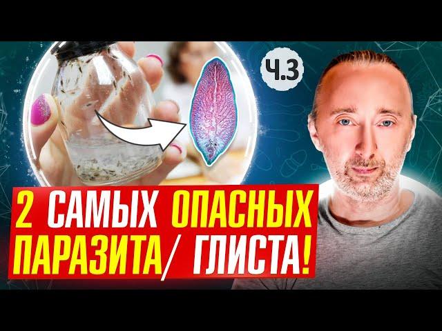 Эти паразиты смертельно ОПАСНЫ, вызывают даже РАК!