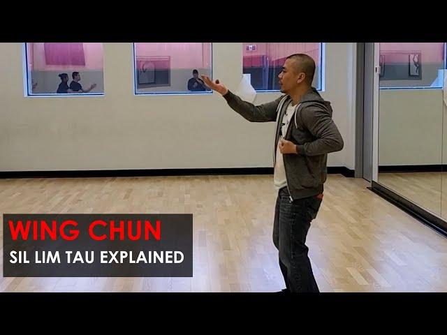 Sil Lim Tau Explained - Wing Chun, Kung Fu Report - Adam Chan