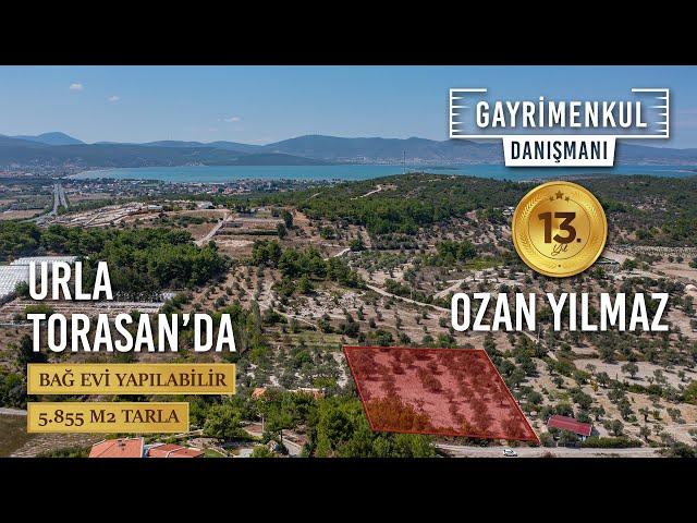 İzmir Urla'da Satılık Kadastral Yolu Olan 5855 m2 Arsa Paylı Tarla.. Ozan Yılmaz