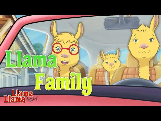 The Llama Family | Llama Llama Episode Compilation