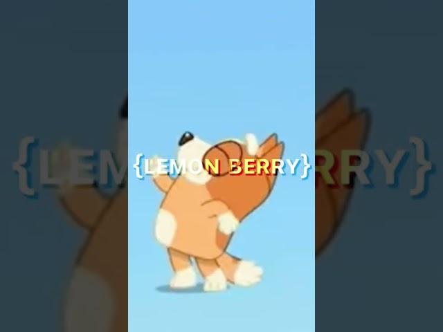 Wait… What? edit || Bingo Heeler || Bluey