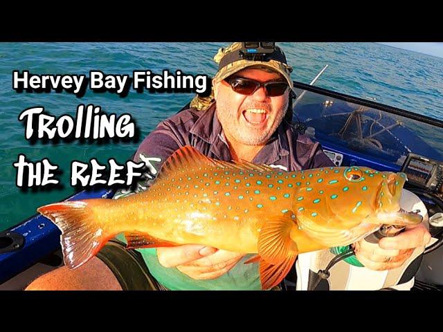 Hervey Bay Fishing the Reef